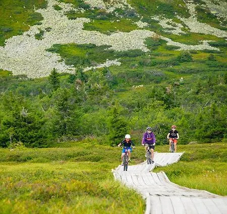 Apartman Hoyfjellssenter, Fagerasen Trysil