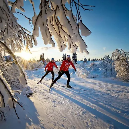 Hoyfjellssenter, Fagerasen